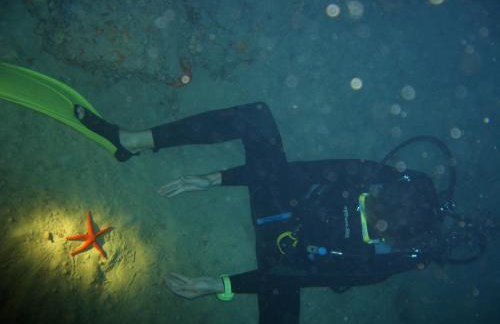 Aspri Villa - Foto 57