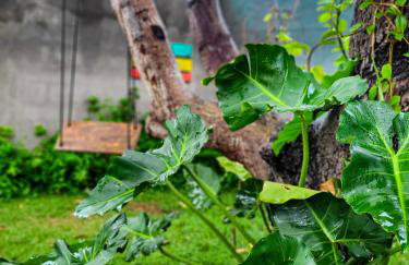 Recanto Celestino 3 - Foto 12