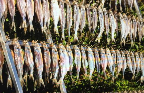 Lake View Apartments - Foto 28