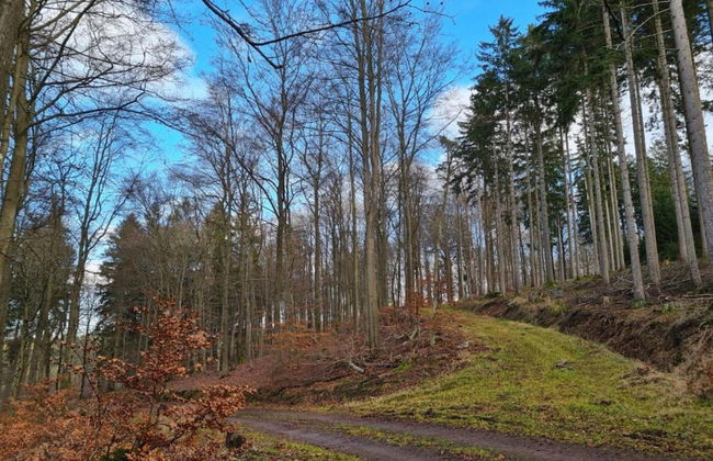 Stylish Apartment With Terrace in Sonneberg - Foto 33