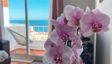 Casa Amar- Vista panorâmica - Foto 2