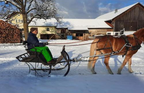 Gschwendnerhof Reitberger-Brandl - Foto 49
