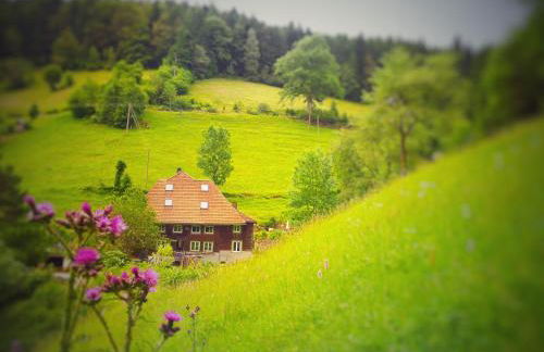 Ferienwohnung Teich 11, 126qm - Foto 1