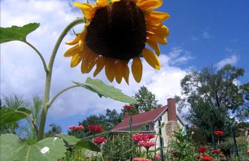 Lovely Cottage on Farm near Shenandoah National Park, Virginia - Foto 24