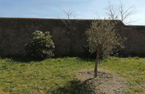 Le soleil d Eugènie appartement dans résidence avec Piscine commune près de Carcassonne - Foto 66