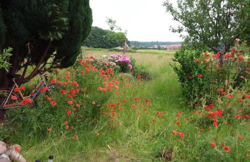 Haus Rosengarten- Ruhige Ferienwohnungen im Grünen - Foto 21