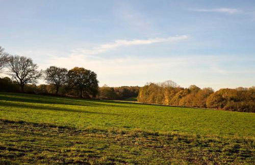 Host and Stay - Florence - Foto 21