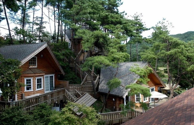 Cabin Town Pension - Foto 42