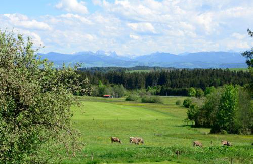 Kuh Heimat - Bergblick - Terrasse - Photo 1