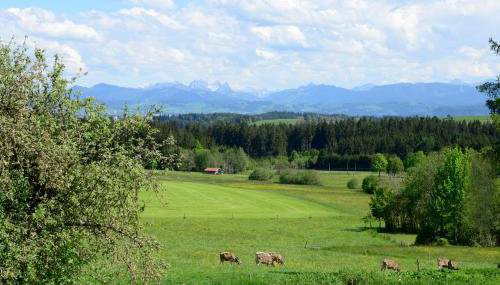 Kuh Heimat - Bergblick - Terrasse - Foto 1