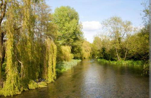 Idyllic period cottage, Ramsbury, Nr Marlborough - Foto 35