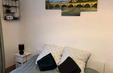 Cosy Loire, T2 neuf, front de Loire ,vue cathédrale,5min à pied centre ville et parking privé - Foto 3