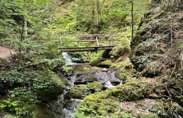 Haus am Waldrand - Foto 34