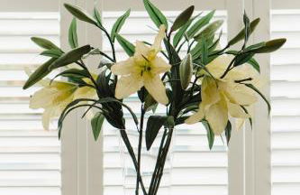 Corner Cottage - character, charm, great location. - Foto 50