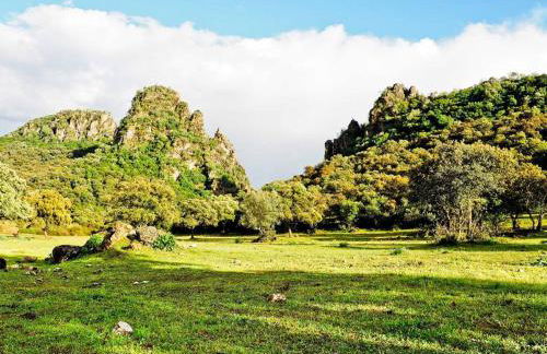Casa Rural COMPLETA Finca Los Conventos en Adamuz; Córdoba - Foto 17