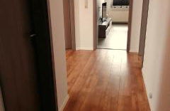 Ferienwohnung Lütje Moew - Dachterrasse und ruhige Lage - Foto 4