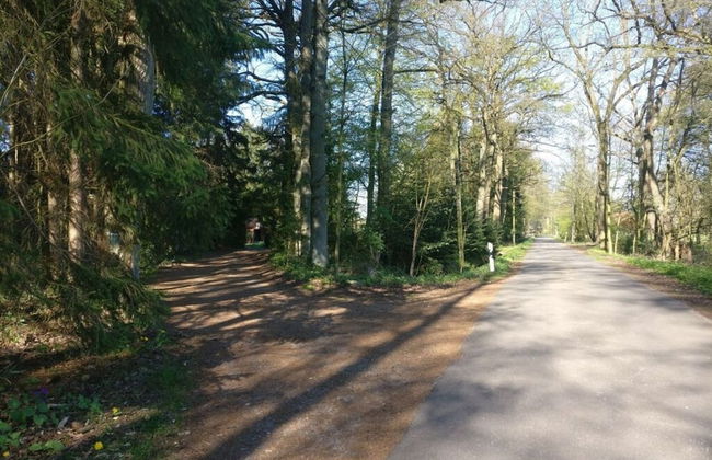 Ahlers Holiday Apartment - Foto 10