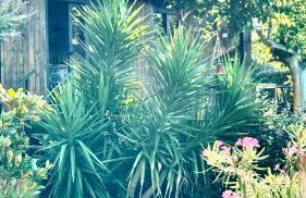 Costa Brava Insólita con Piscina Privada, AC, WIFI, Parking, Terraza - Photo 12