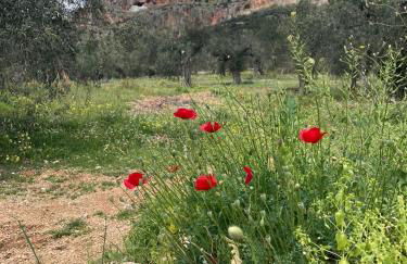 O'GERA Greek resort house in the mountains - Foto 15