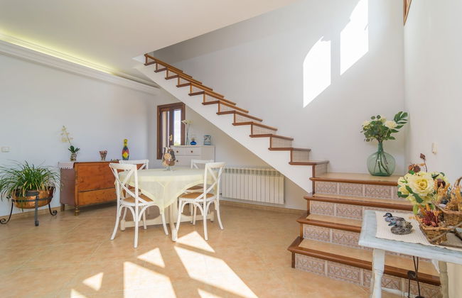 Pleta De Bonany in Vilafranca de Bonany - Foto 13