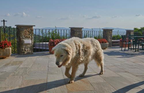 Agriturismo Borgo Mocale - Foto 54