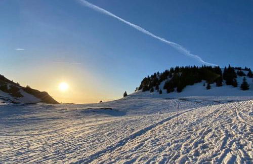 Appartement proche de la ville et du parc du Truchet - Foto 15