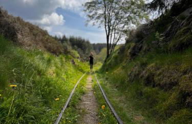 Großzügige Souterrainwohnung in historischer Stadtvilla im Herzen Zellerfelds - Foto 19