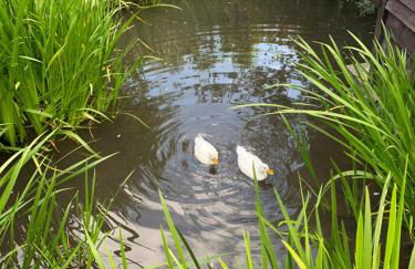 The Barn at Logmore Farm - Foto 6