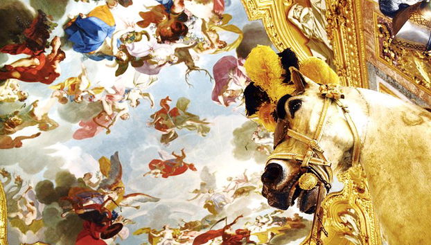 Visite privée du palais royal de Turin avec la chapelle du Saint-Suaire - Photo 4