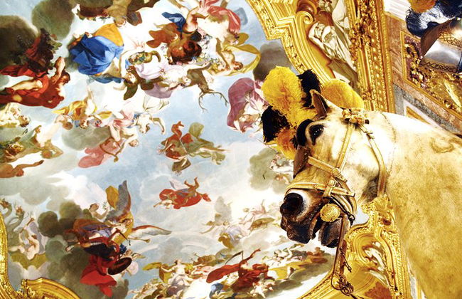 Visite privée du palais royal de Turin avec la chapelle du Saint-Suaire - Photo 4