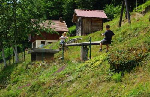 Chalet familial dans le Parc des Vosges, wifi et animaux acceptés - FR-1-589-840 - Foto 19