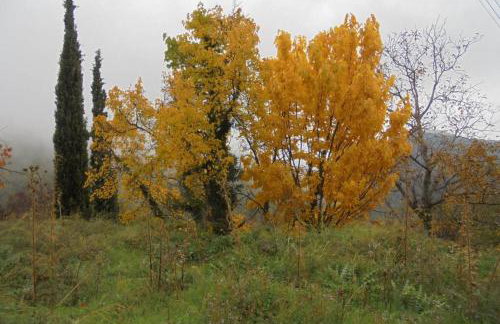 Periklis Guesthouse Anavriti. - Foto 42