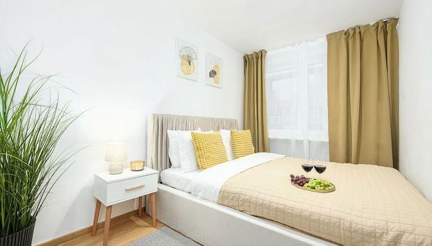 Lumina opposite the Palace of Culture - Foto 3, Habitación