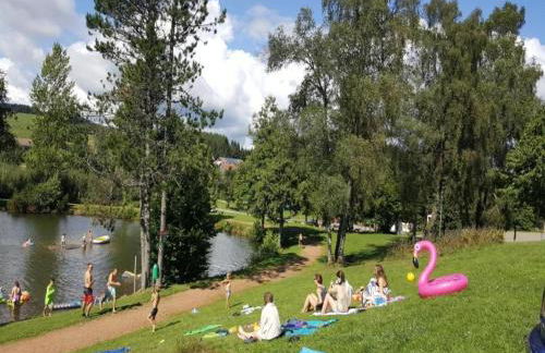 Apartment in Dachsberg-urberg - Foto 80