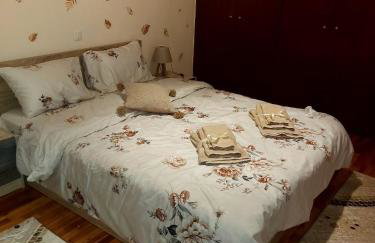 Venias Lake House Apartment 2 - Photo 41