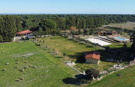 Casa Pinheiro - Foto 20