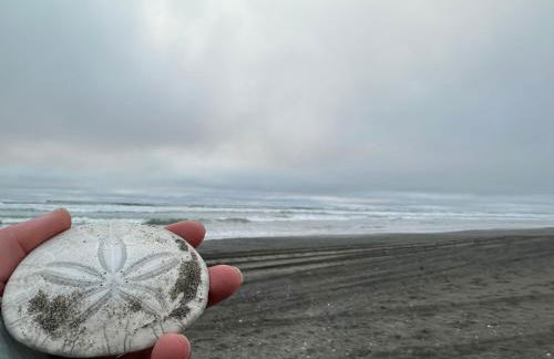 The Surf Shack - Foto 19