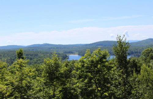 Clear Skies - Foto 28