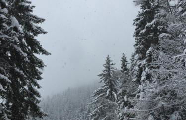 Morgex Mont Blanc - Petite Maison - Foto 32