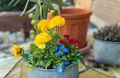 Ferienwohnung bei Fredy - Foto 22