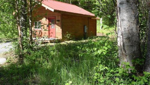Birch Cabin - Foto 1