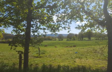 gitesdecampagne - Foto 18