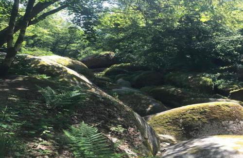 Stone House in Huelgoat, Brittany - Foto 28