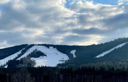 Ferienhaus Birke - Foto 64