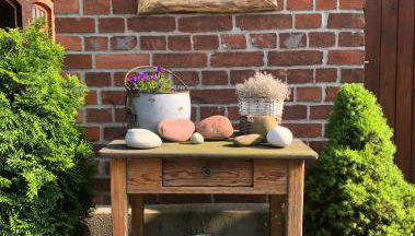 Falkenwohnung - Foto 3