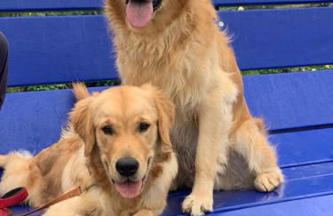 Locazione turistica Casa olivo - Foto 57