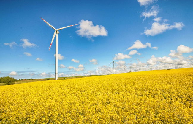 Cozy Studio 3 at the Seaside Agrotourism - Photo 39