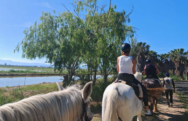 Passeggiata a cavallo al Delta dell'Ebro - Foto 3