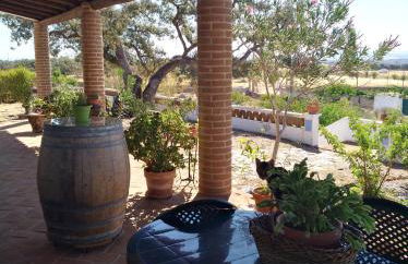 Aproveite o sabor do Alentejo - Foto 26