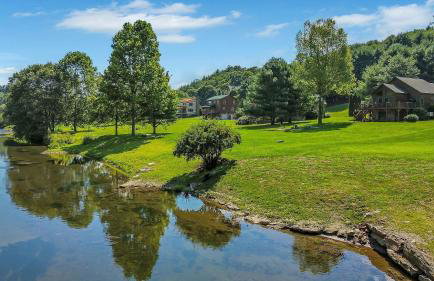 Cozy Cabin Right on the New River in Todd - Easy River Access - Fire Pit - Photo 1